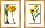 Bessa Florals in Yellow, Set of 2